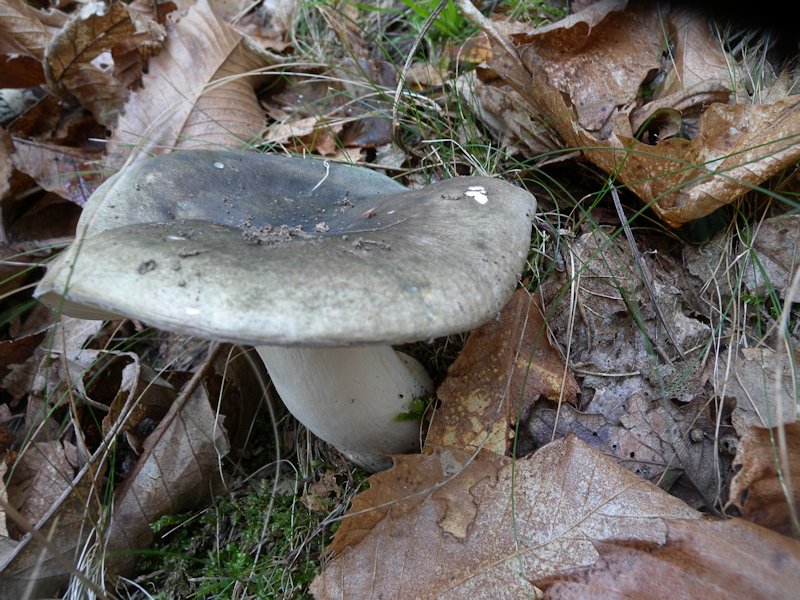 Forse l''ultima bellissima giornata..!!